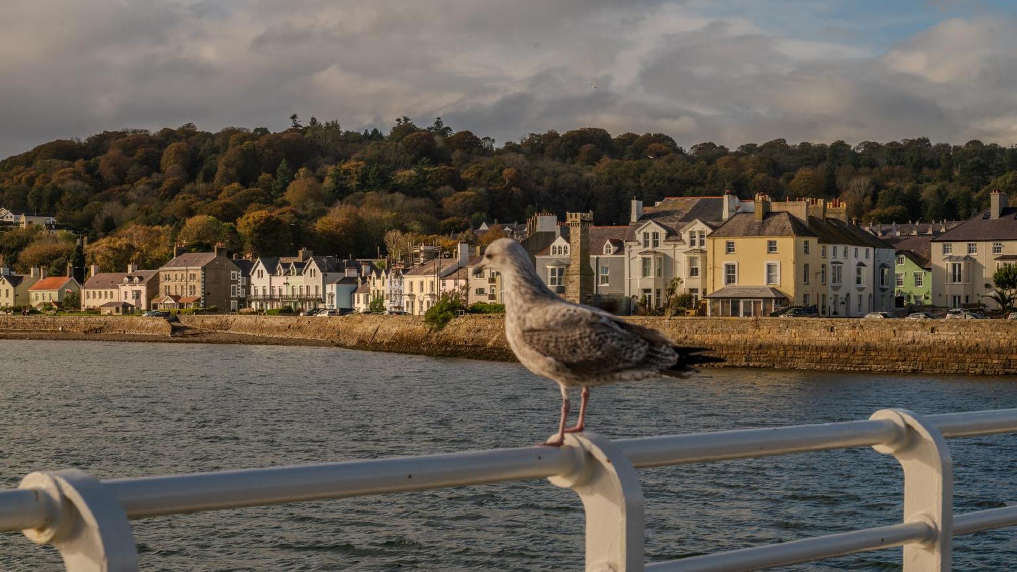 Castle Court Otel Beaumaris Dış mekan fotoğraf